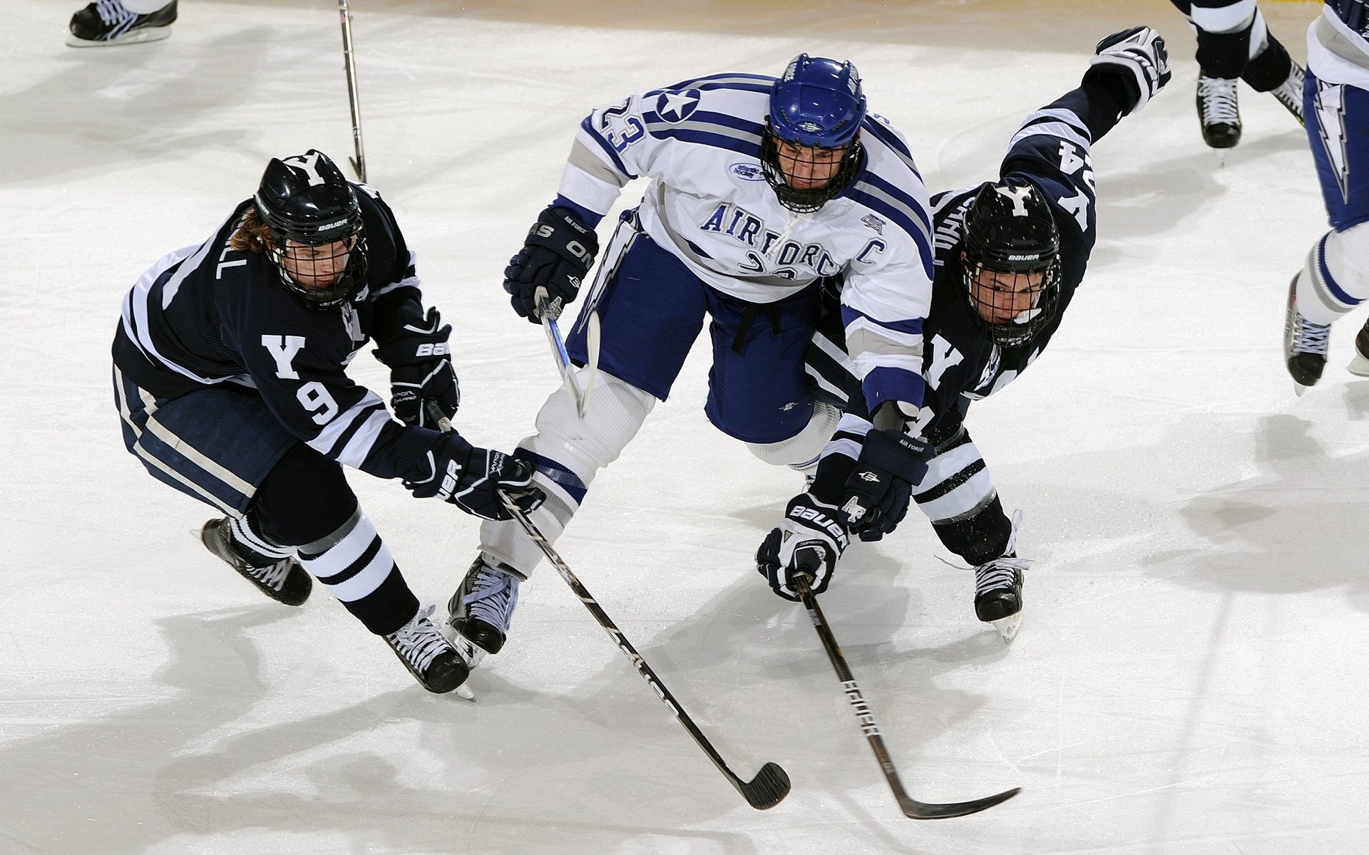 九游体育直播-北境铁壁与孟菲斯新王，当防守艺术遇上生死接管
